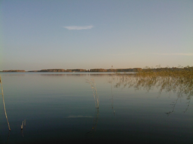 Озеро Урефты. Вид на восточный берег (фото Куделенского Олега, Челябинск)