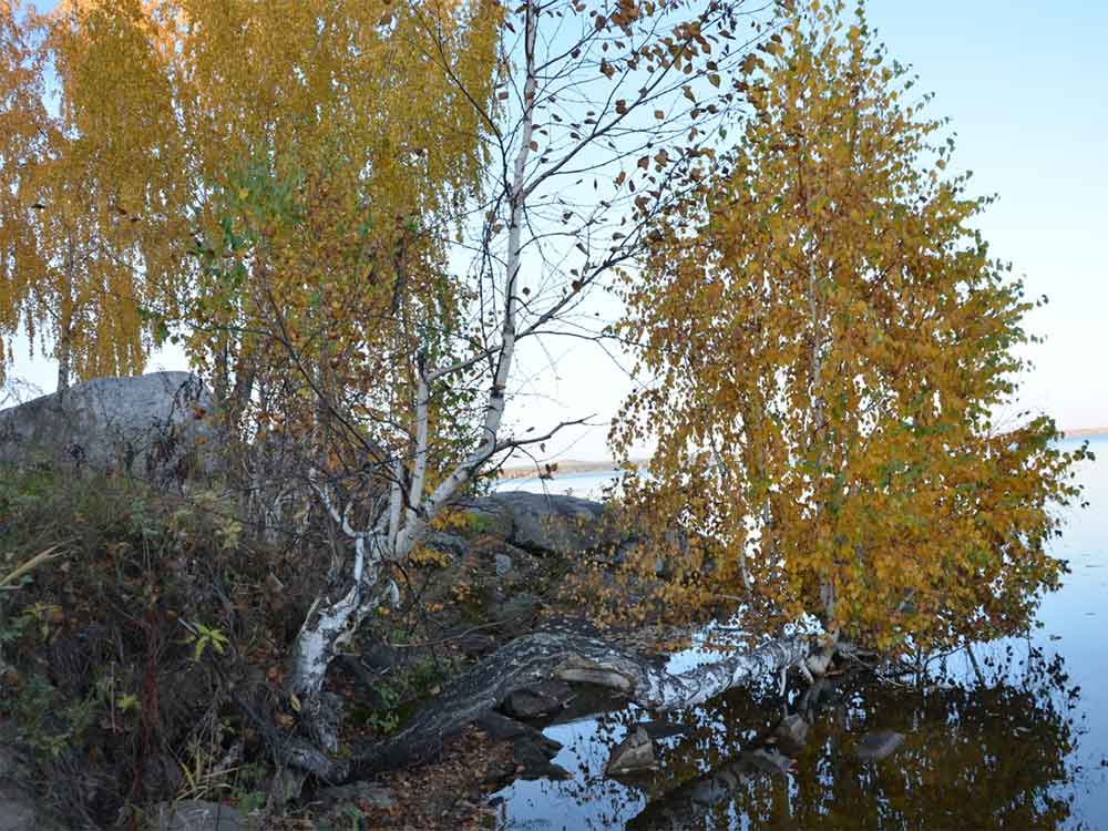 Озеро Иткуль. Золотая осень (фото Владимира Зеленова. г. Озерск)