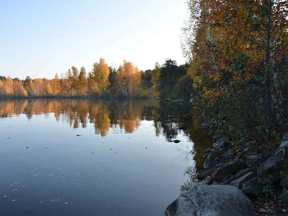 Озеро Иткуль. Золотая осень (фото Владимира Зеленова. г. Озерск)